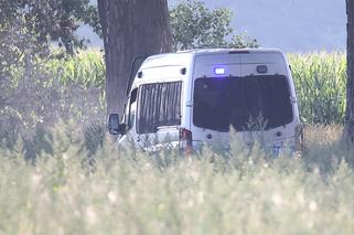 Porwanie 14-latki z Poznania. Sprawcy ogolili ją na łyso i wykorzystali. Zdjęcia