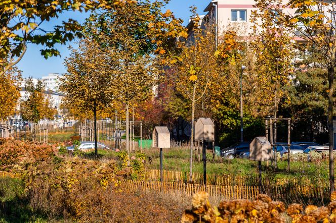 Park linearny na Bielanach w Warszawie