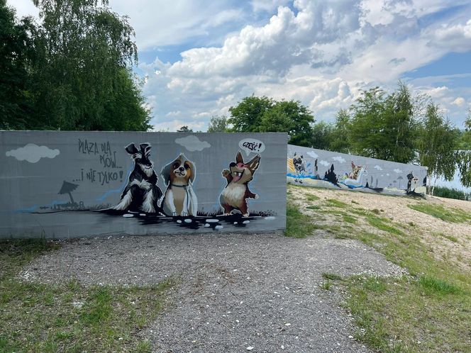 Sztuczna inteligencja wybrała najpiękniejszą plażę w Małopolsce. Tam warto wybrać się w wakacje!