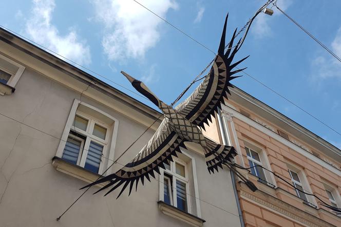 Jest nowa pigułka o mieście Leszno w liczbach