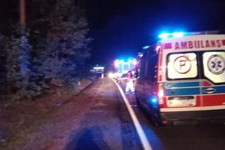 Wypadek między Krzeszycami a Lubniewicami