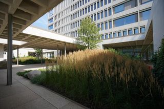 Nowy gmach Wydziału Psychologii UW