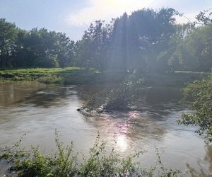 Stan rzeki Ślęza cały czas się podnosi. Przekroczono już stan alarmowy. Jak wygląda sytuacja?