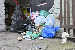 Śmieci zalewają Otwock. Firma zrezygnowała z dnia na dzień 