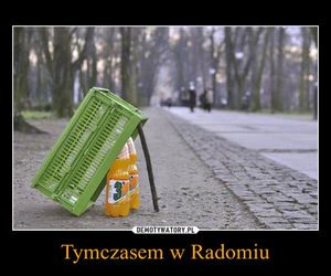 MEMY o Radomiu