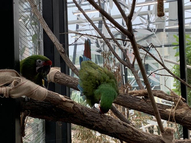 Egzotarium w Sosnowcu gotowe. Tak wygląda przed otwarciem