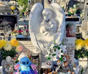 Kamilek z Częstochowy