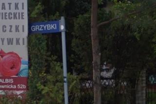 Grzybki