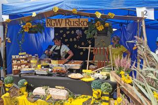 Wielkopolski Dzień Pszczół w Kaliszu