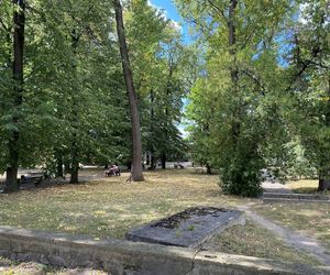 PKP sprzedaje park przy ulicy Kolejowej.  Czy lasek kupi miasto Nowy Sącz?