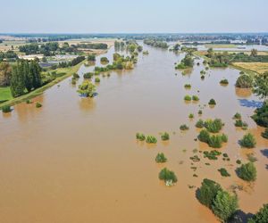 Deszcz i burze na południu Polski. Synoptyk IMGW przedstawił najnowszą prognozę pogody