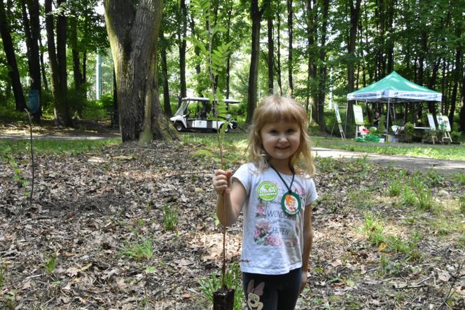 Park Śląski: AKCJA 1327 DRZEW