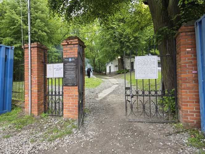 Cmentarz żydowski w Leżajsku