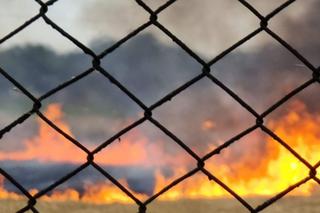 Pożar na polu uprawnym w Przybranowie. Policjanci uratowali kobietę