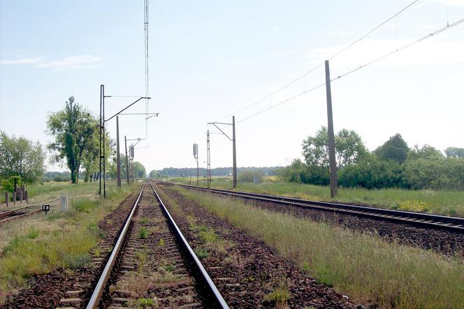 Wrocław: Złapali złodzieja na słupie kolejowym. Groził, że skoczy