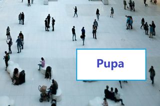 One naprawdę istnieją!