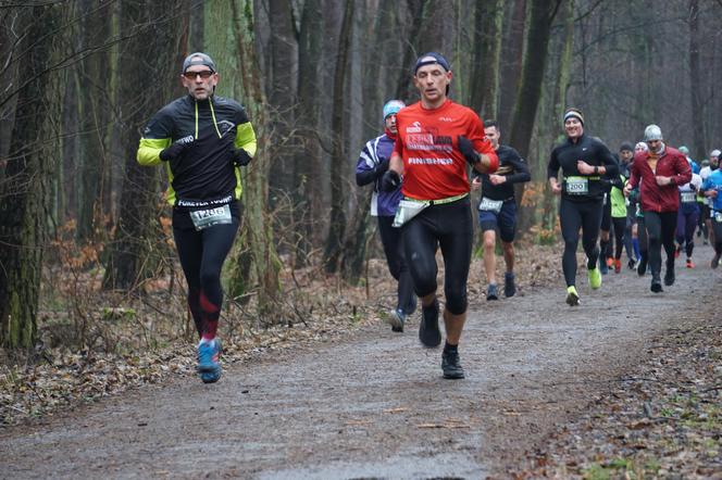 City Trail w Bydgoszczy. Miłośnicy biegania opanowali Myślęcinek [ZDJĘCIA]