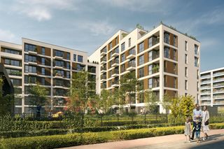 Wizualizacje projektu Esy Floresy