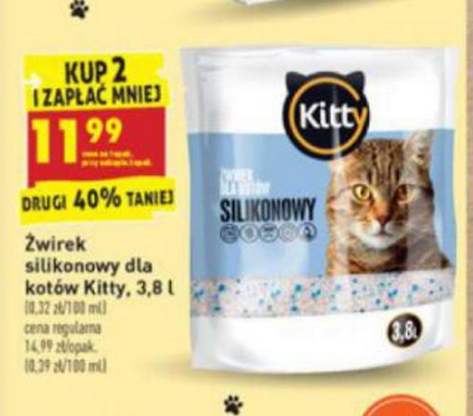 Szalone promocje na Dzień Kota w Biedronce