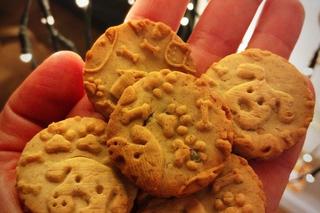 Pierwsza piekarnia dla psów w Toruniu. PSIsmaki robią furorę. Sprawdziliśmy, co jest w ofercie