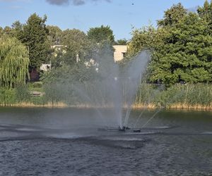 Zielona perła Bartodziejów. Odkryj uroki bydgoskiego Balatonu