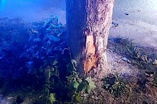 Pracowity weekend na drogach u iławskich policjantów