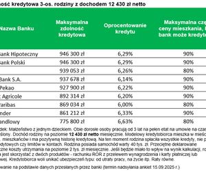 Taka Jest zdolność kredytowa