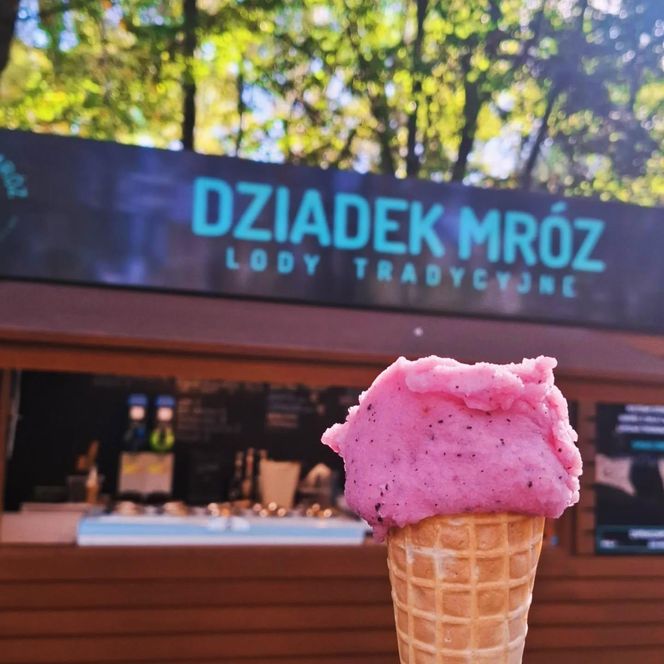 8. Dziadek Mróz – ocena 4,7 (178 opinii)
