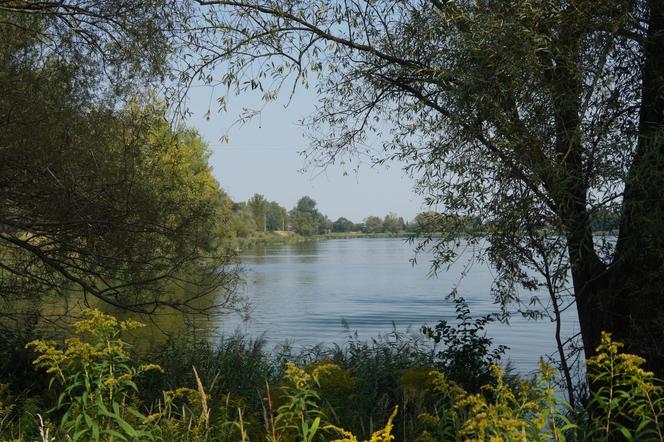 Koniec wakacji, ale nie sezonu kąpielowego. Weekend nad wodą w Przylasku Rusieckim