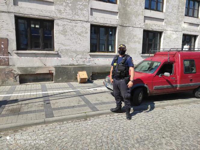 Płock. Twój ul jest lepszy niż mój. Rój pszczół zaatakował budynek na Starym Mieście