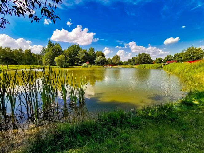 Olsztyn Jurajski - piękna miejscowość. Dom szlaku Orlich Gniazd