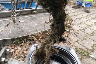 Pokazali, co wrocławianie wrzucają do toalet. Do kanalizy lądują nawet kury