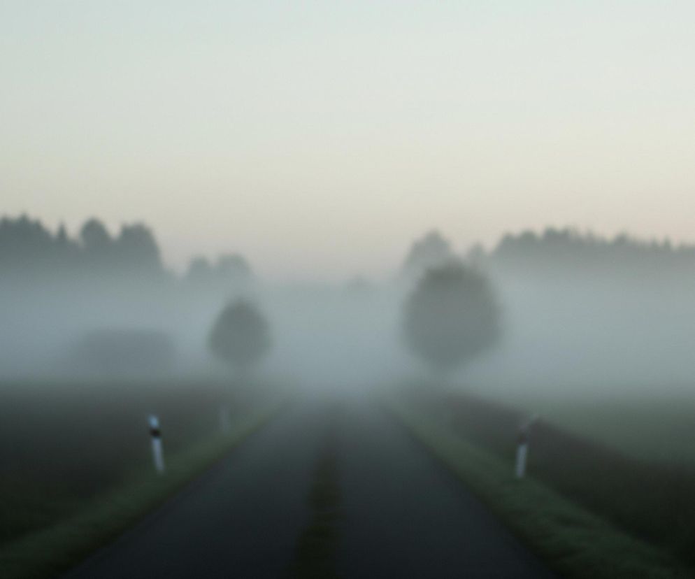 Gęsta mgła w Polsce. Jak.jpg