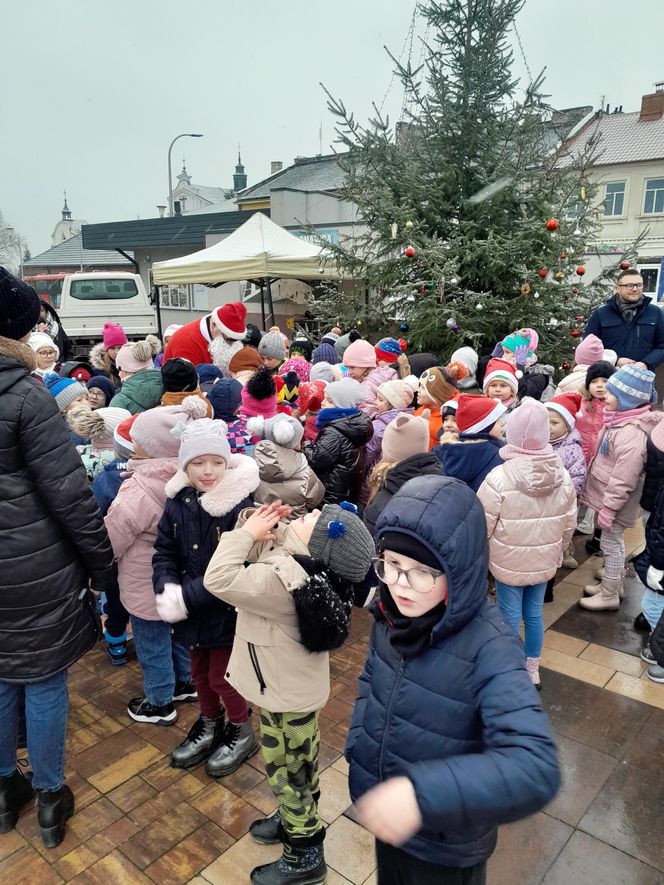 Na rynku w Mordach stanęła choinka