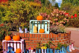 Ogrody Kapias w październikowej szacie wyglądają pięknie