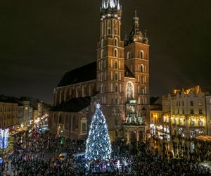 Najpiękniejsza choinka na świecie znajduje się w Polsce! Gdzie ją zobaczyć? 