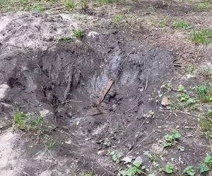 Urządzili sobie tor przeszkód w zabytkowym parku