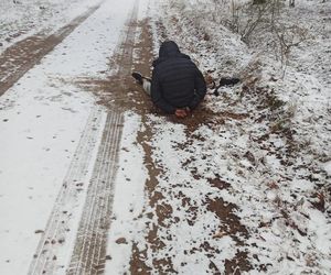 Po wypadku uciekł z auta.  Mężczyznę odnalazł pies Pax