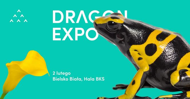 Dragon Expo w Bielsku-Białej - niedziela 2 lutego