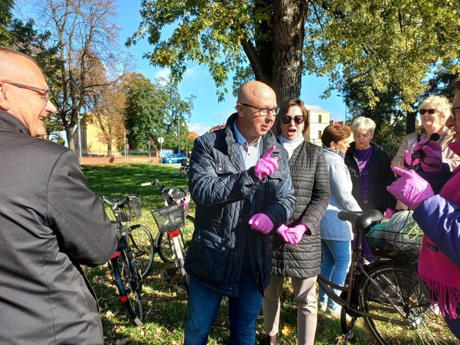 2 tysiące żonkili posadzono na Polu Nadziei w Lesznie. To symbol walki z rakiem