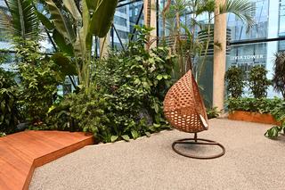 Ogród botaniczny wśród wieżowców