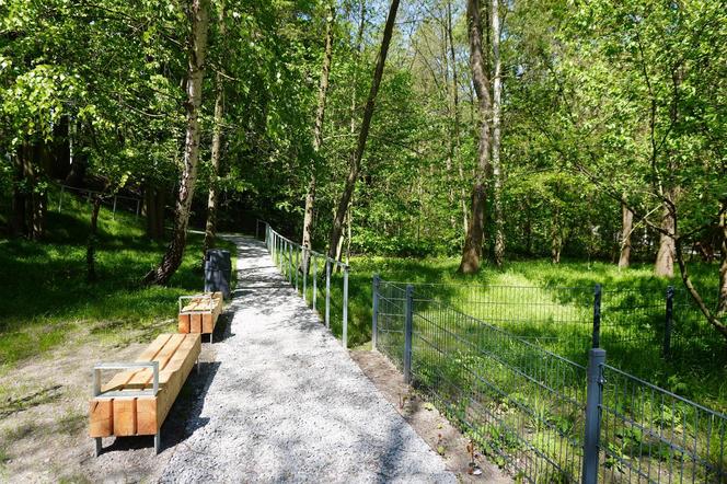 Tak wygląda park w dolinie Ślepiotki w Katowicach