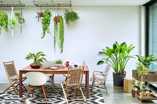 Dom w stylu biophilic - rośliny w roli głównej