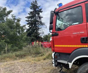 Wypadek awionetki w Krzycku Wielkim