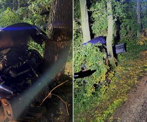 Subaru roztrzaskało się o drzewo! 30-latek nie żyje, dwoje młodych pasażerów zabrały karetki [ZDJĘCIA]
