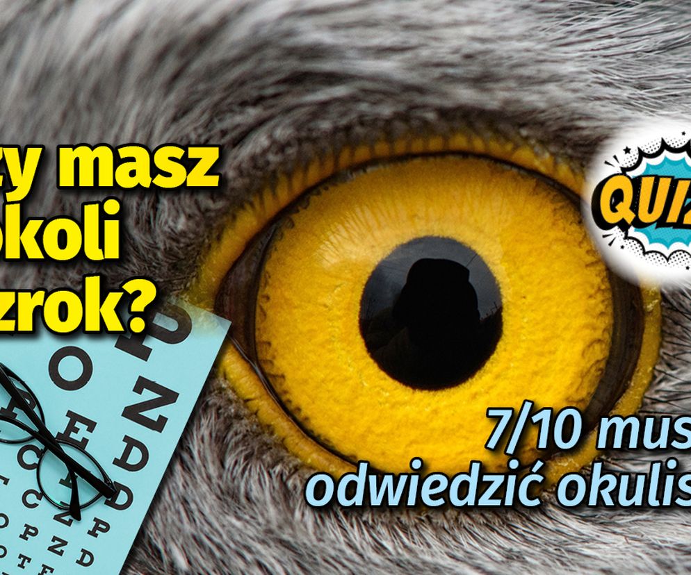 Czy masz sokoli wzrok