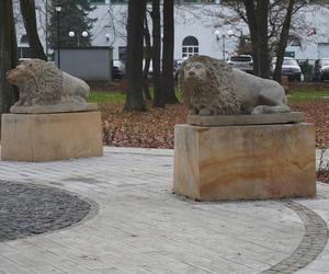 Żory. Nowy wygląd Parku Staromiejskiego. Miejsce przeszło ogromną metamorfozę ZDJĘCIA