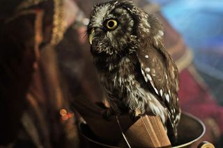 Złoty Kociołek - nowa klubokawiarnia w Warszawie