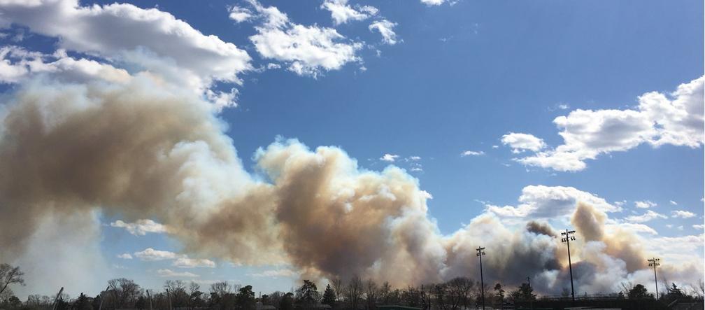 Ogromny pożar lasu w New Jersey
