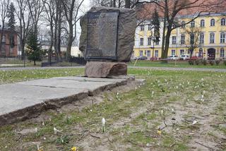 W parku na Pl. Kościuszki przygotowania do nowego sezonu